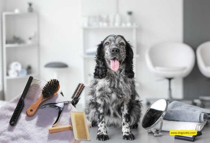 Top 10 Must-Have Grooming Tools for Professional Pet Groomers